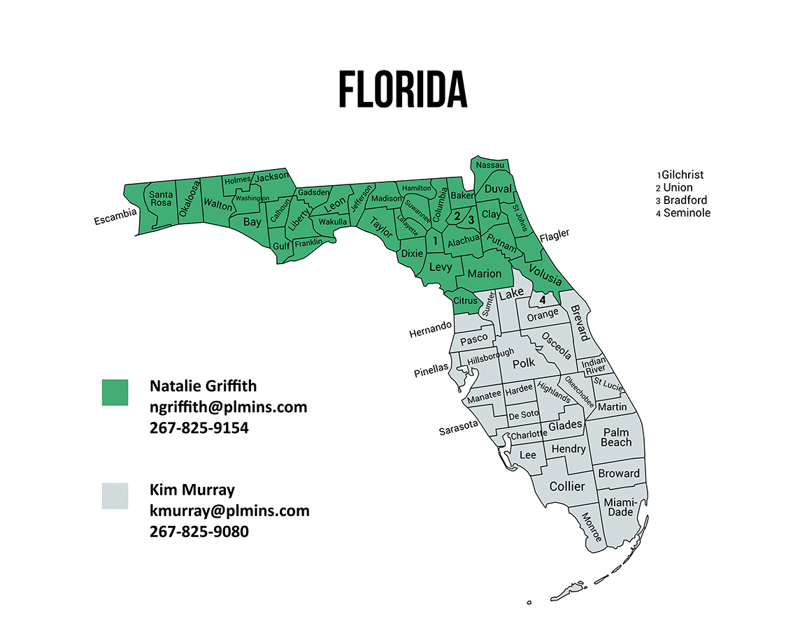 BDR Map for Florida