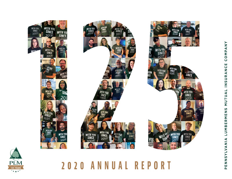 PLM 2020 Annual Report