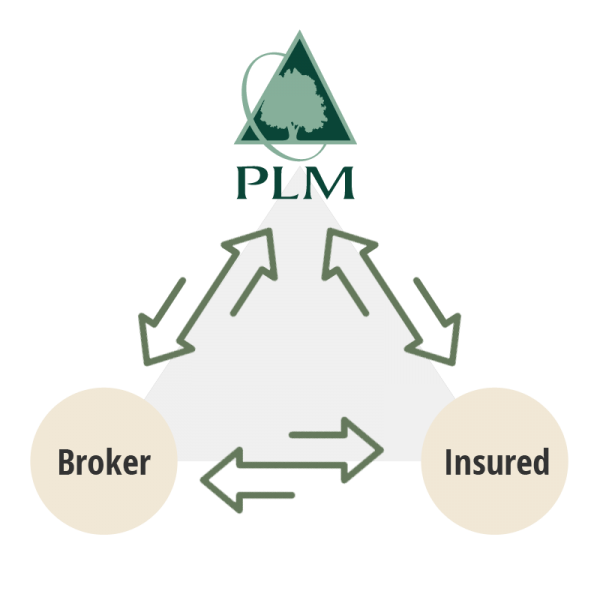 Insurance Producers & Brokers for Wood-Based Businesses